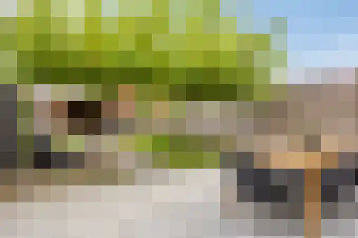 Irisstraat 35 Heteren thumbnail 10