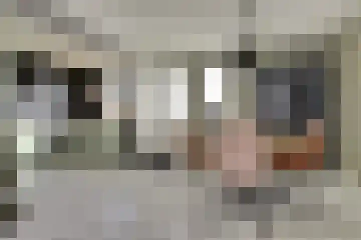 Irisstraat 39 Steenbergen thumbnail 15