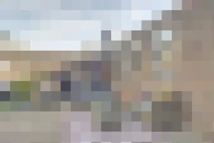 Irisstraat 39 Steenbergen thumbnail 26