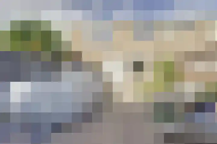 Irisstraat 39 Steenbergen thumbnail 28