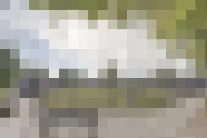 Irisstraat 39 Steenbergen thumbnail 33
