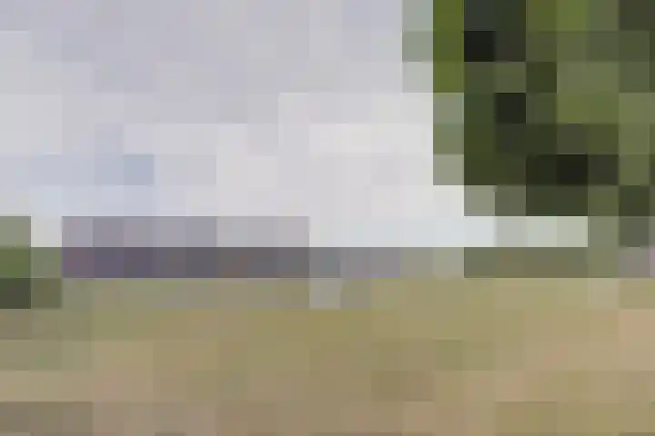 Irisstraat 39 Steenbergen thumbnail 34