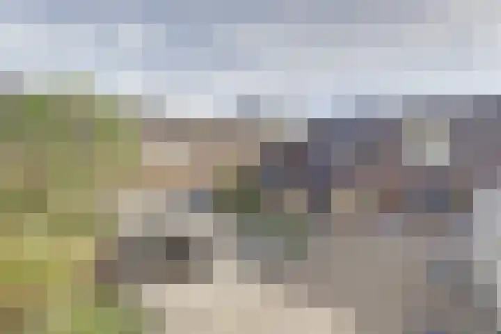 Irisstraat 39 Steenbergen thumbnail 5