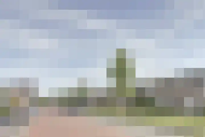 Irisstraat 39 Steenbergen thumbnail 6