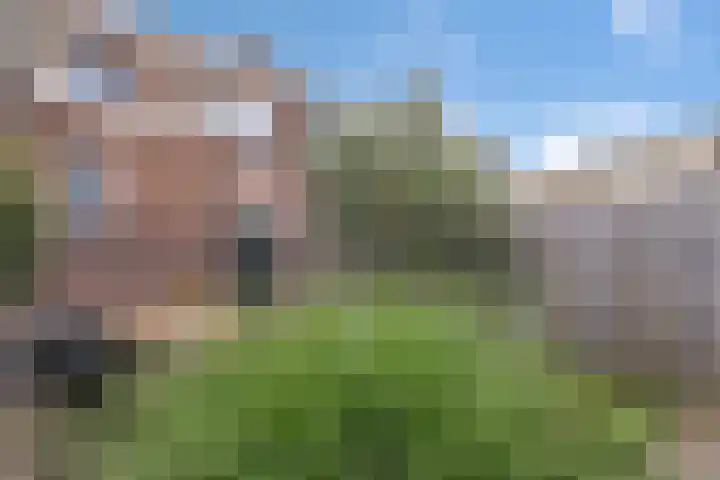 Irisstraat 5 Zwolle thumbnail 21