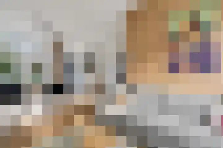 Irisstraat 5 Zwolle thumbnail 6