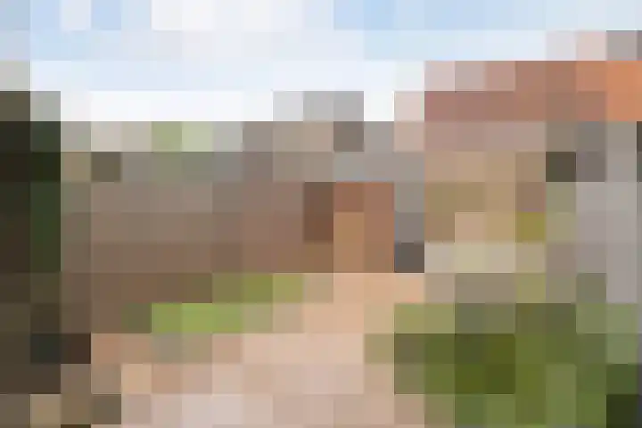 Irisstraat 7 Zwolle thumbnail 34