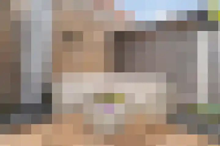 Irisstraat 7 Zwolle thumbnail 38
