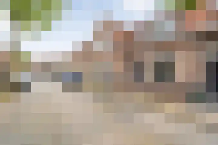 Irisstraat 7 Zwolle thumbnail 4
