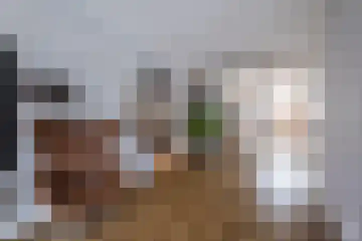 Irisstraat 70 Losser thumbnail 18