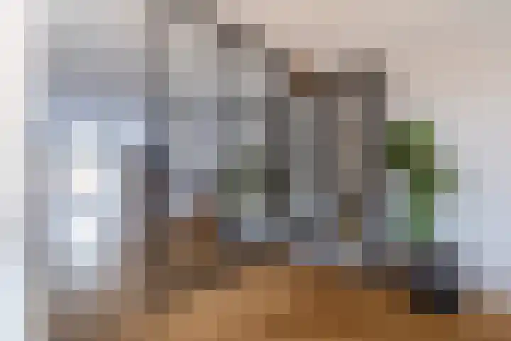 Irisstraat 70 Losser thumbnail 20