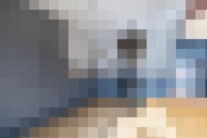 Irisstraat 70 Losser thumbnail 24