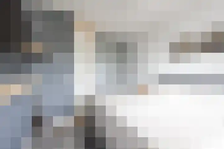 Irisstraat 70 Losser thumbnail 28