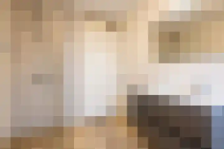 Irisstraat 70 Losser thumbnail 34