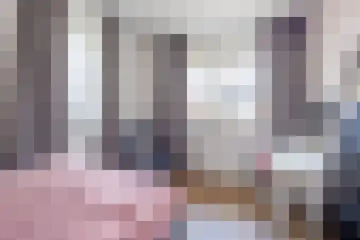 Irisstraat 70 Losser thumbnail 35