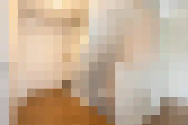 Irisstraat 70 Losser thumbnail 37