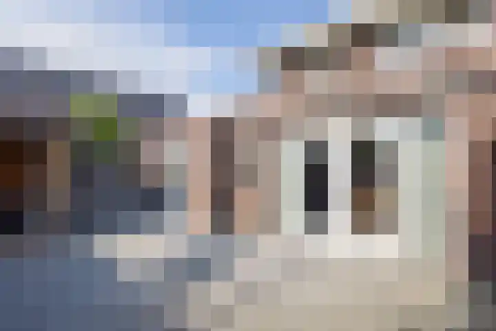Irisstraat 70 Losser thumbnail 43