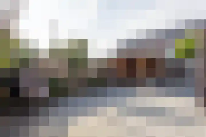 Irisstraat 70 Losser thumbnail 44