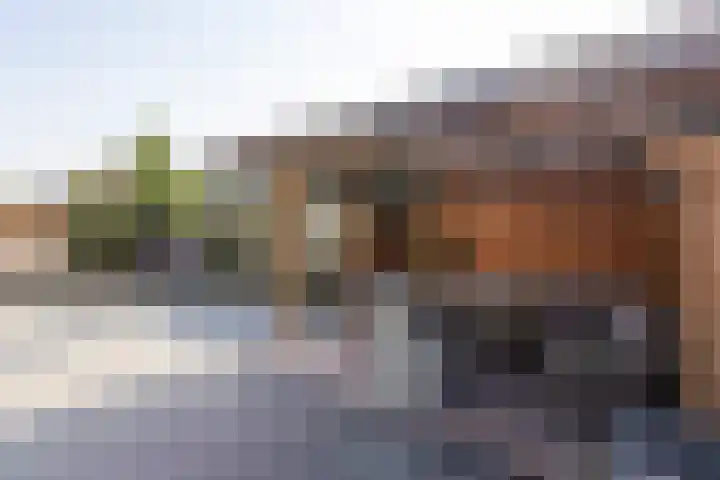 Irisstraat 70 Losser thumbnail 48