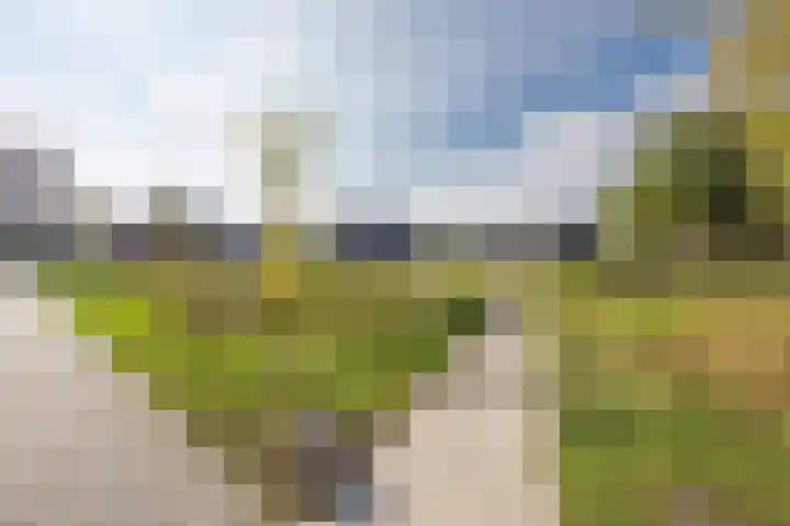 Irisstraat 70 Losser thumbnail 52