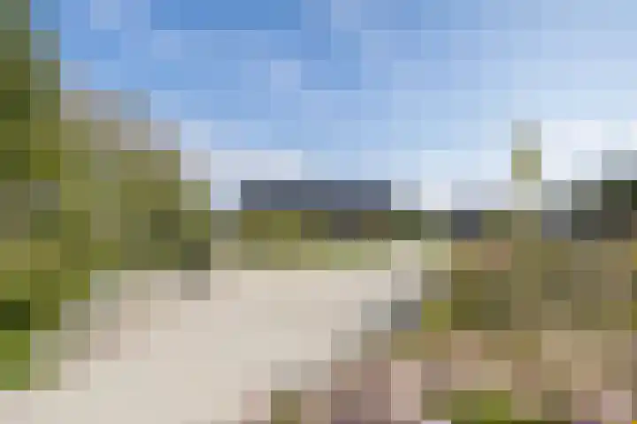 Irisstraat 70 Losser thumbnail 54