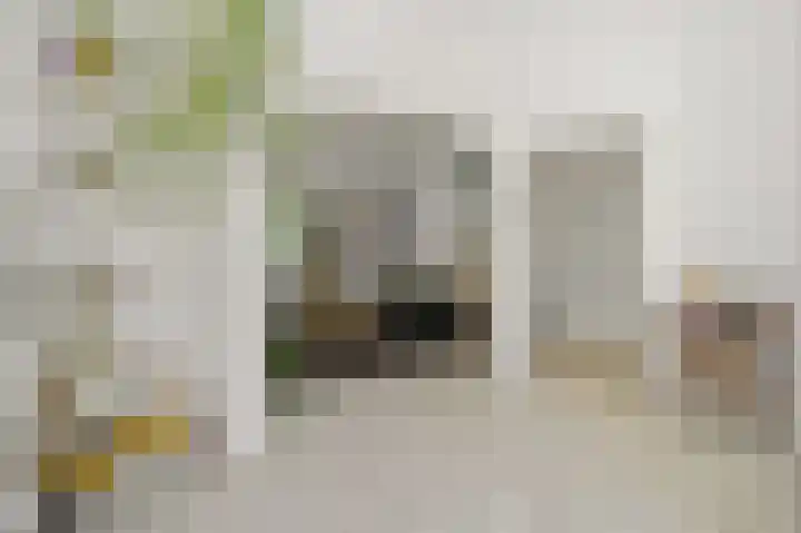 Irisstraat 92 Den Haag thumbnail 12