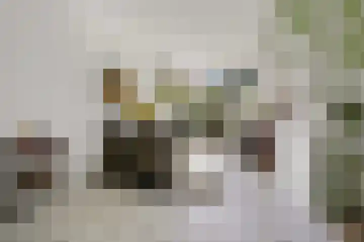 Irisstraat 92 Den Haag foto 2