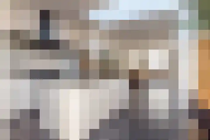 Irmstraat 35 Simpelveld thumbnail 10