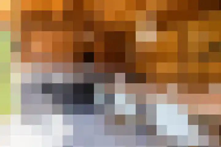 Irmstraat 35 Simpelveld thumbnail 39