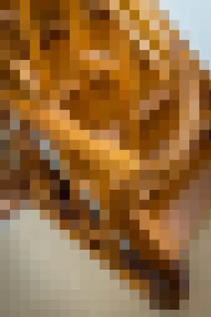 Irmstraat 60 Simpelveld thumbnail 38