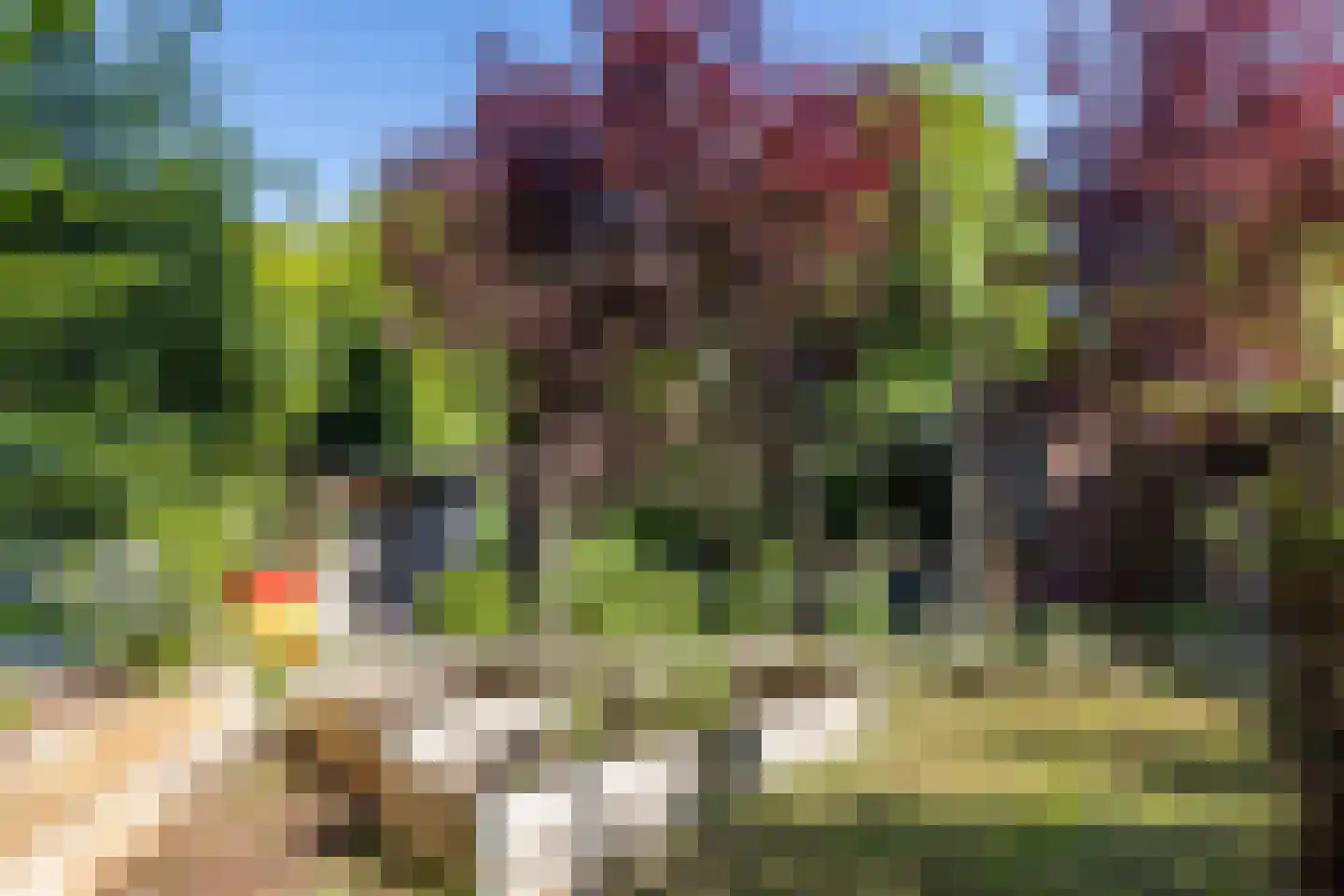 Irmstraat 61 Simpelveld thumbnail 38