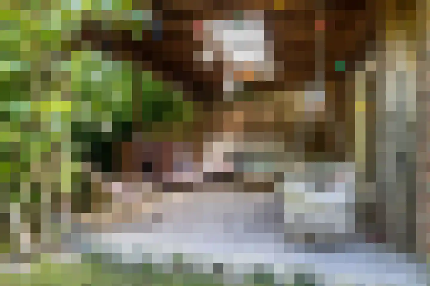 Irmstraat 61 Simpelveld thumbnail 39