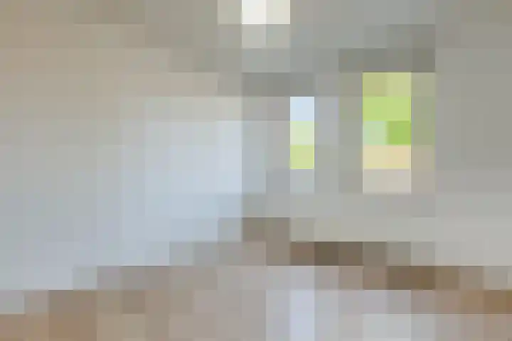 Isabella Richaardsstraat 8 Amsterdam thumbnail 5
