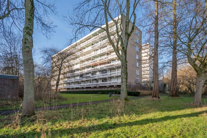 Isabellaland 844 in 's-Gravenhage foto