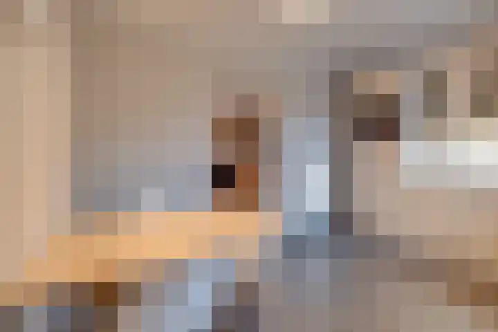 Isabellastraat 6 Echt thumbnail 19