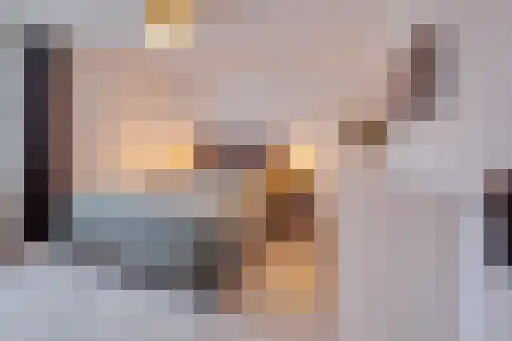 Isabellastraat 6 Echt thumbnail 6
