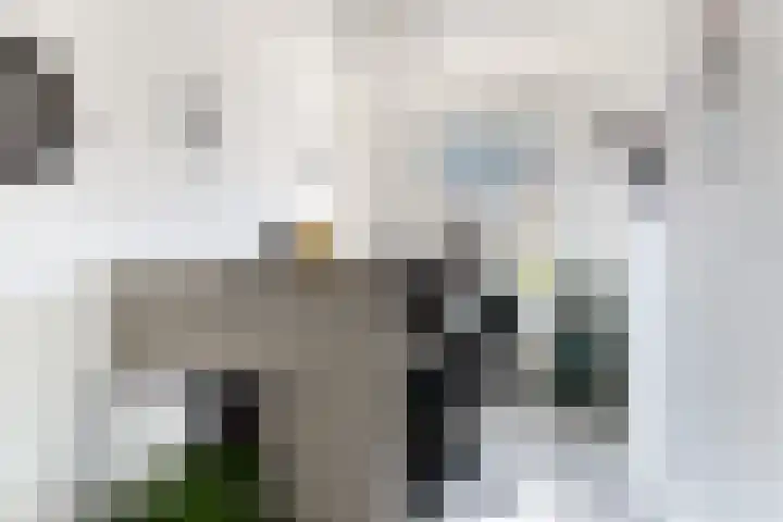 Isarstraat 14 Beverwijk thumbnail 15