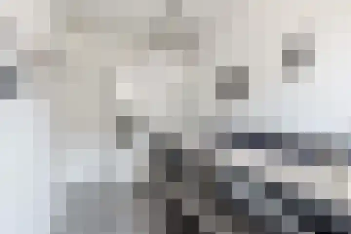 Isarstraat 14 Beverwijk thumbnail 16