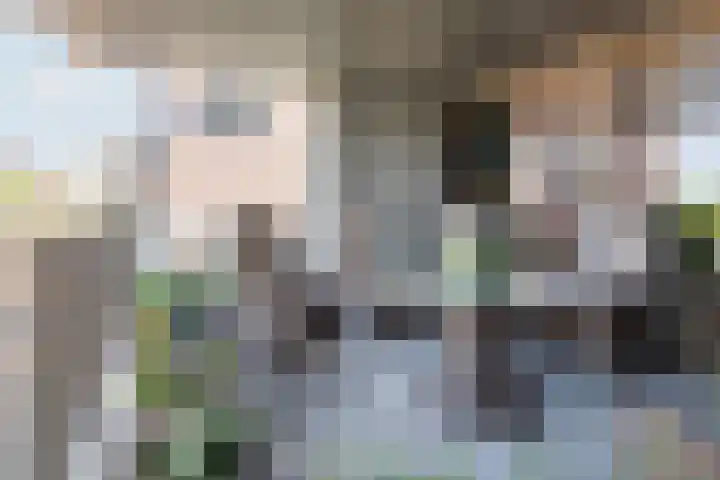 Iseldoks 141 Doetinchem thumbnail 17