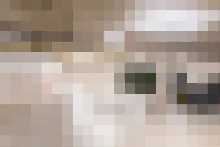Iseldoks 141 Doetinchem thumbnail 38