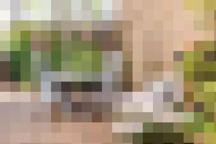 Iseldoks 141 Doetinchem thumbnail 41