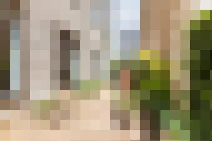 Iseldoks 141 Doetinchem thumbnail 42