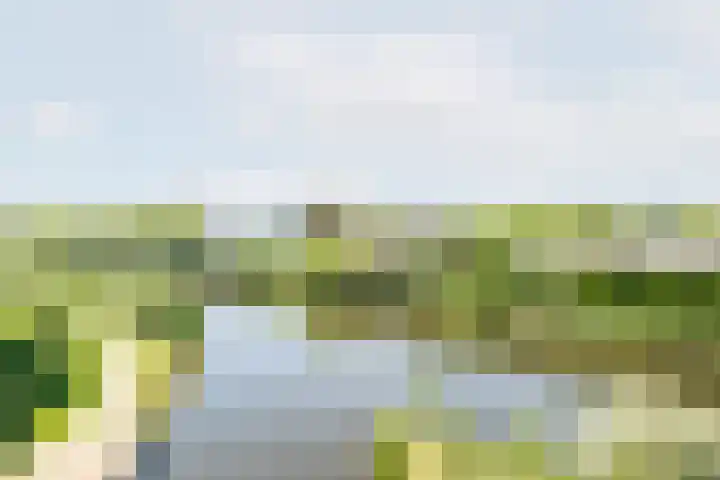Iseldoks 141 Doetinchem thumbnail 49