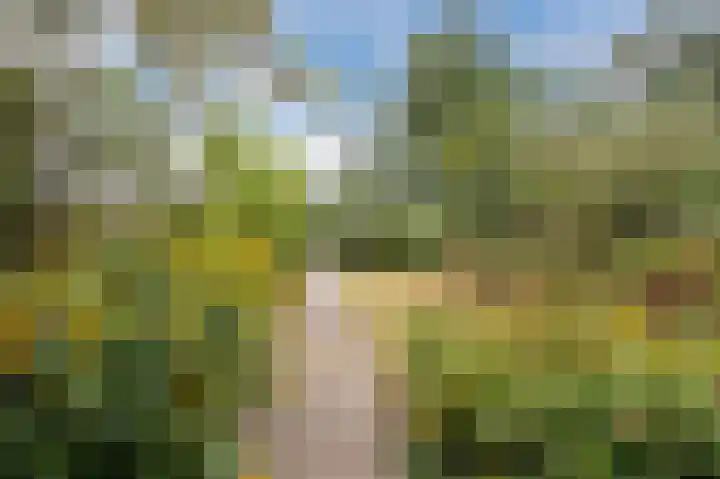 Isidorusweg 41 Eindhoven thumbnail 11