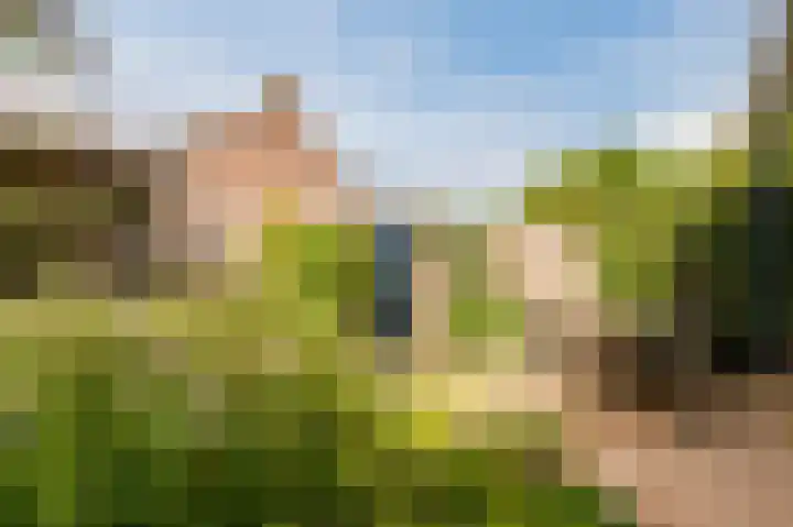Isidorusweg 41 Eindhoven thumbnail 53