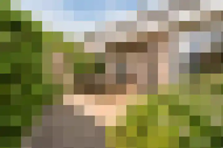 Isidorusweg 41 Eindhoven thumbnail 56