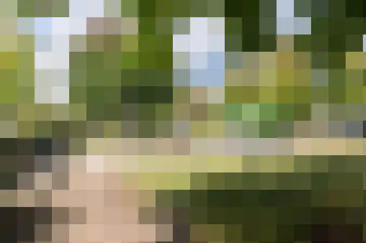 Isidorusweg 41 Eindhoven thumbnail 61