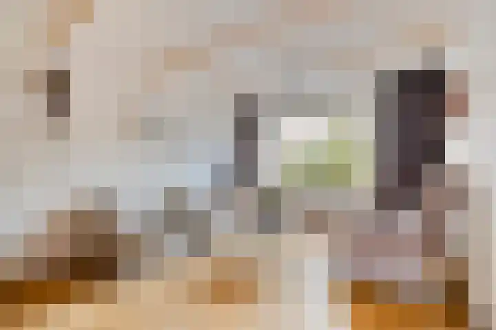 Israëlserf 20 Nunspeet thumbnail 10