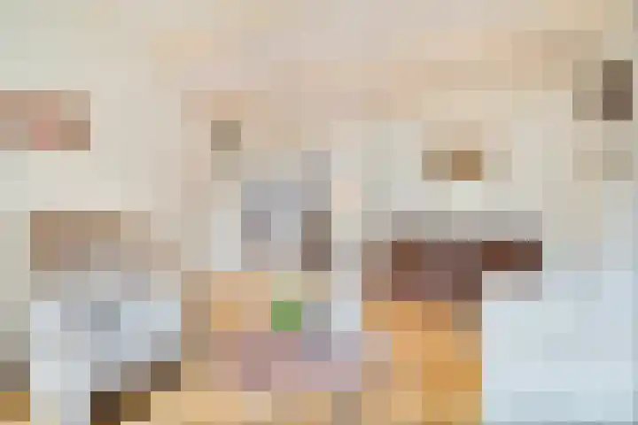 Israëlserf 20 Nunspeet thumbnail 11