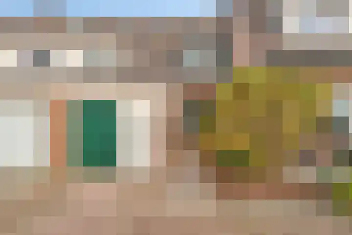 Israëlserf 20 Nunspeet thumbnail 6